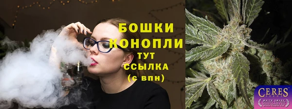 мет Инсар