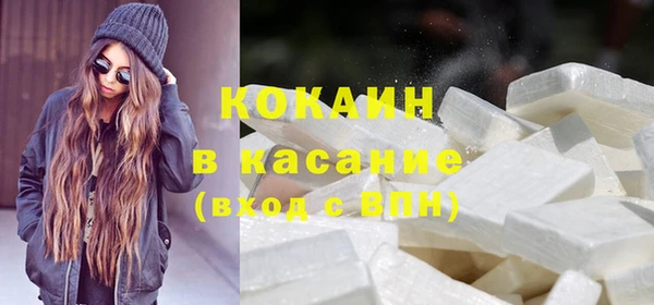 мет Инсар