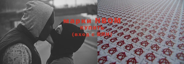 мет Инсар