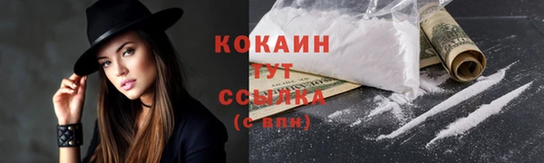 мет Инсар