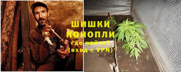 мет Инсар