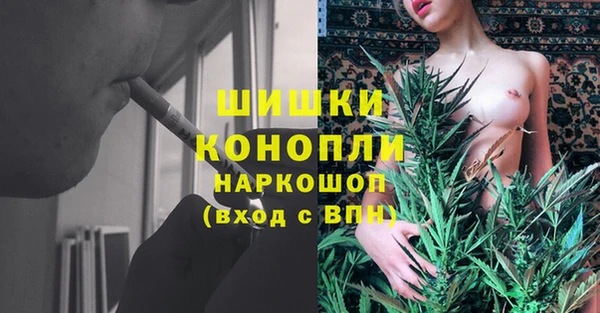 молекула духа Инта
