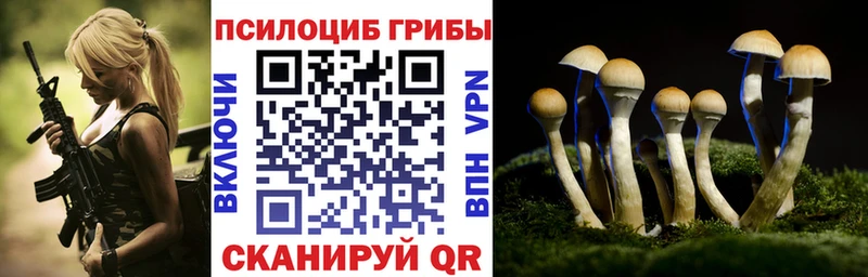 где купить наркотик  Первоуральск  Псилоцибиновые грибы Psilocybine cubensis 
